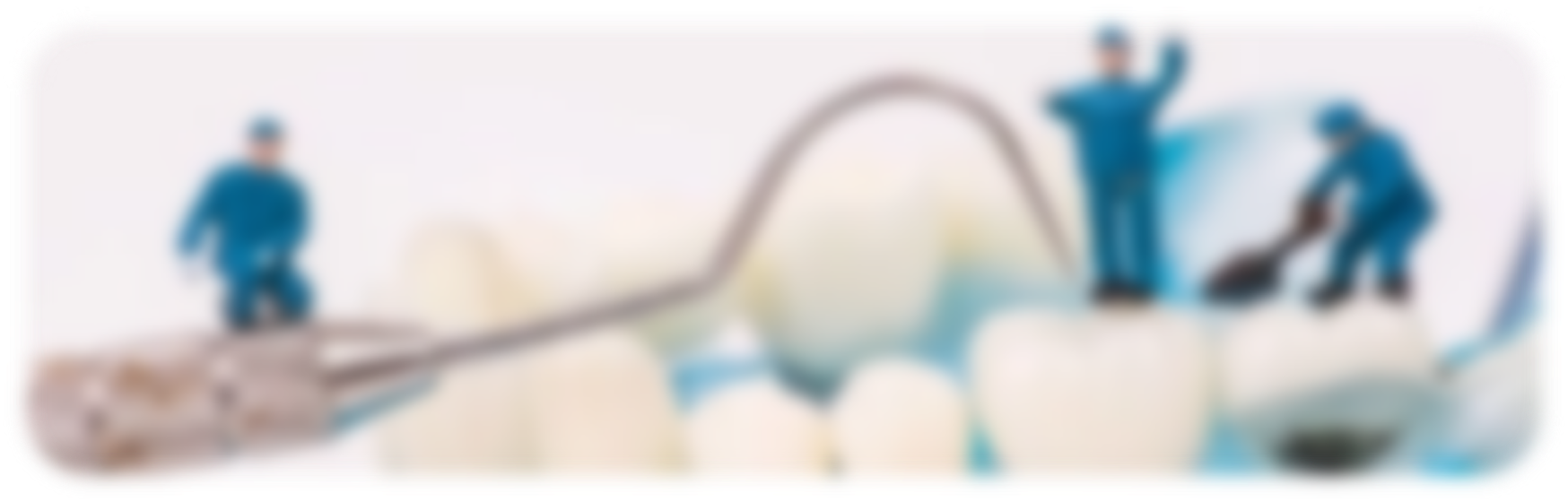 banner-case-01